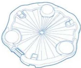 Evenflo Exersaucer Sweet Tea - Table des matières - 4