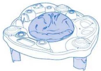 Evenflo Exersaucer Sweet Tea - AVERTISSEMENT - 3