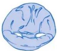 Evenflo Exersaucer Sweet Tea - 2