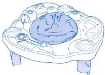 Evenflo Exersaucer Sweet Tea - WARNING - 3
