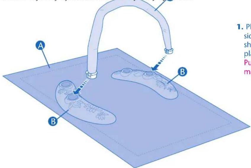 Evenflo Exersaucer Sweet Tea - Stage 1 (Optional) - 1