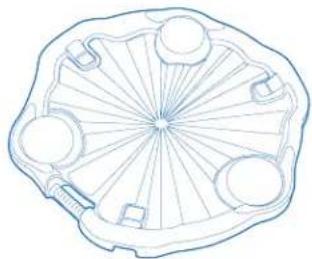 Evenflo Exersaucer Sweet Tea - Table des matières - 1