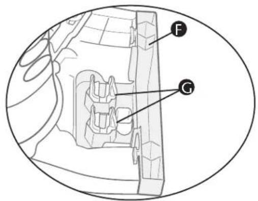 Evenflo Exersaucer Life In The Amazon Triple Fun - ADVERTENCIA - 6