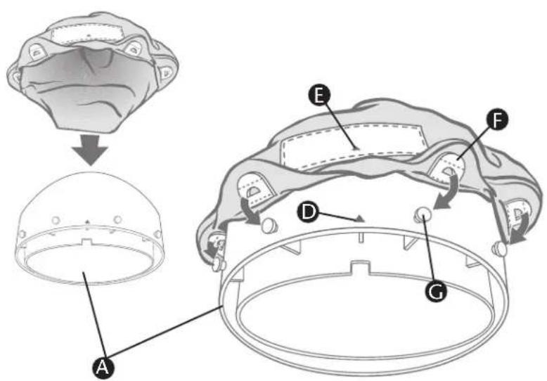 Evenflo Exersaucer Life In The Amazon Triple Fun - Para usar las bases estabilizadores: - 18