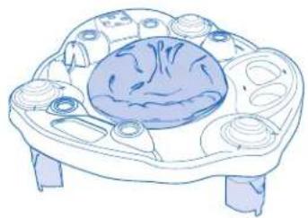 Evenflo Exersaucer Moovin' & Groovin' - WARNING - 4