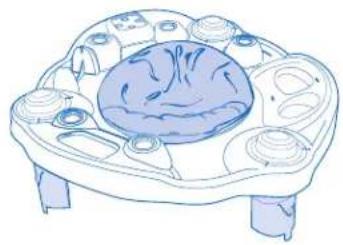Evenflo Exersaucer Moovin' & Groovin' - ADVERTENCIA - 3