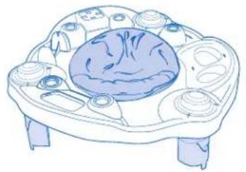 Evenflo Exersaucer Moovin' & Groovin' - AVERTISSEMENT - 3