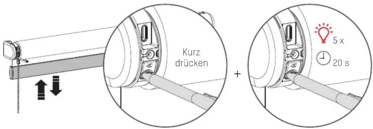 EVE Blinds Collection - i Rollo zurücksetzen - 1