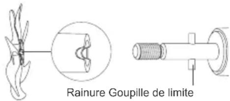 Rainure Goupille de limite