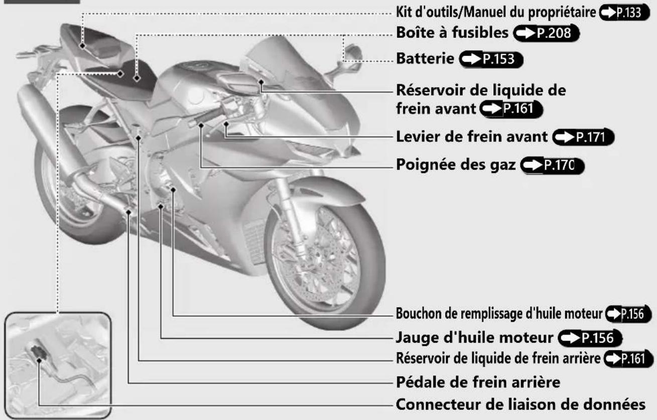 Honda CBR1000ST (2024) - Emplacement des composants (Suite page suivante) - 1