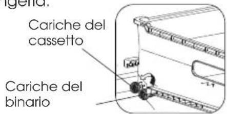 HISENSE RB645N4BIE - Cassetto del congelatore - 2