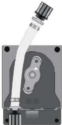 HAYWARD Easy Chem - Conservazione della sonda - 5
