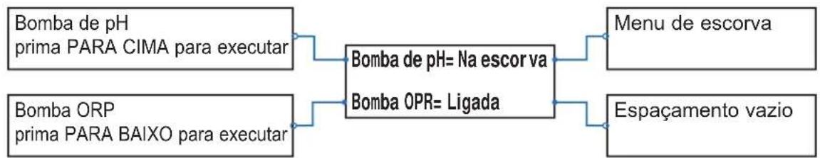 HAYWARD Easy Chem - 6b4. Menu de escorva - 1