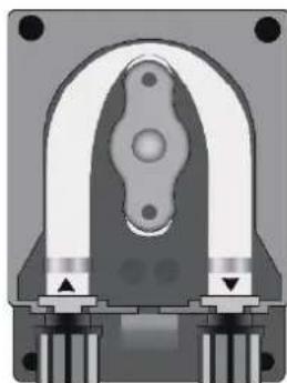 HAYWARD Easy Chem - Armazenamento da sonda - 6