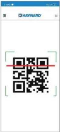 HAYWARD Pro Chem - Acceso directo al dispositivo ProChem - 2