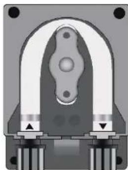 HAYWARD Pro Chem - Verfahren zum Austausch von Schläuchen - 6
