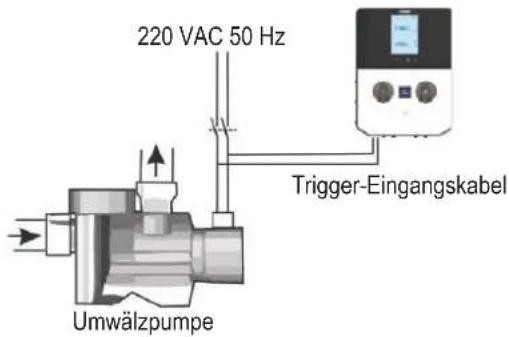 HAYWARD Pro Chem - 4b. Elektrisches Schutzgerät - 2