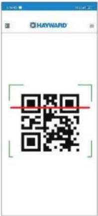 HAYWARD Pro Chem - Accesso diretto al dispositivo ProChem - 2