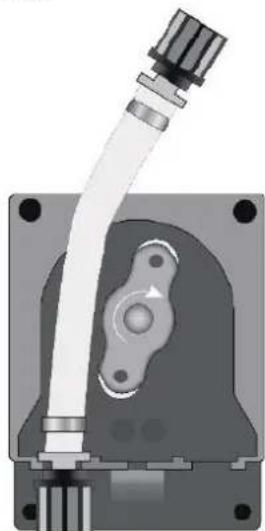 HAYWARD Pro Chem - Procédure de remplacement des tuyaux - 5