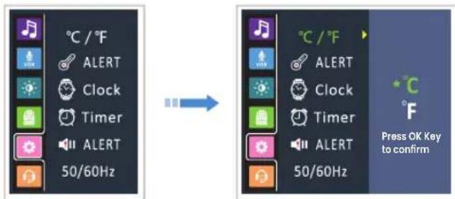 BABYSENSE Max View - Temperature Scale Setting - 1