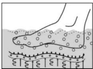 LANAFORM Bubble Footcare - 6