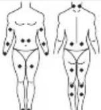LANAFORM Medi Stim - 12/56 English - 5