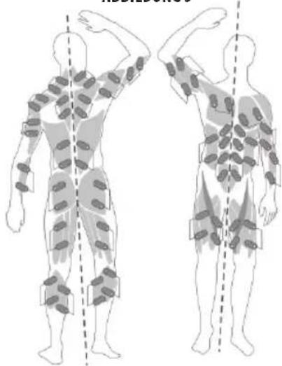 LANAFORM Stim Fit - Anwendung: - 2