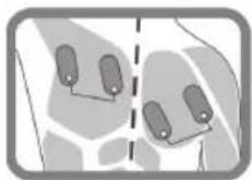 LANAFORM Stim Fit - Utilisation : - 2
