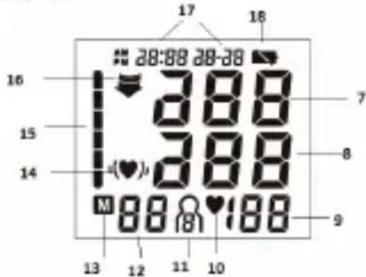 LANAFORM WBPM-100 - DISPLAY - 1