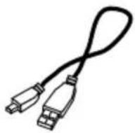 AVer AVerVision M15W - Contenido Del Paquete - 3
