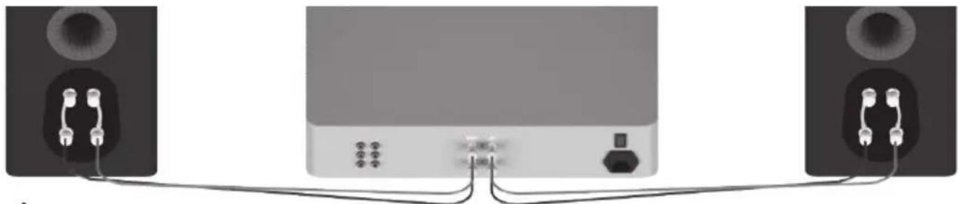 MONITOR AUDIO Gold FX 5G - Cableado stencil - 1