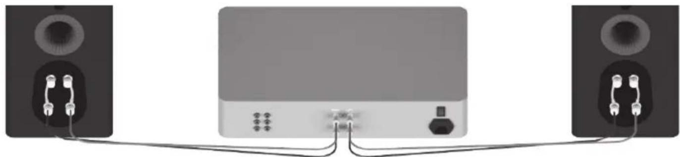 MONITOR AUDIO Gold FX 5G - Cablagem simples - 1