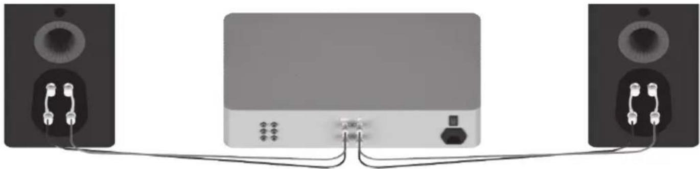 MONITOR AUDIO Gold FX 5G - 单接线 - 1