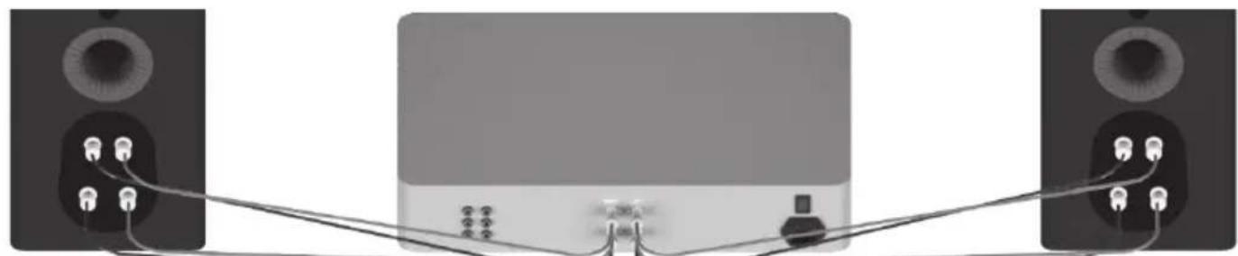 MONITOR AUDIO Gold FX 5G - Cablagem dupla - 1