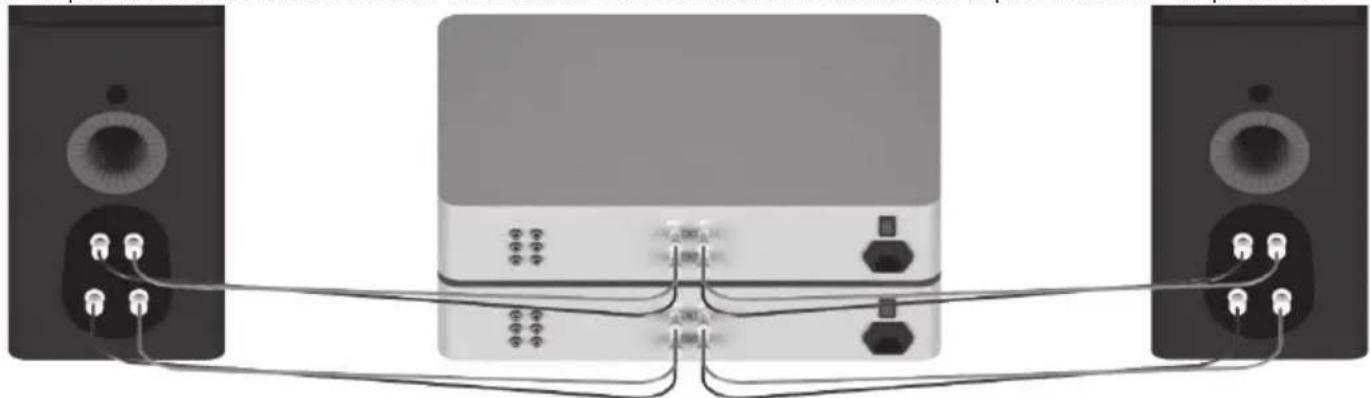 MONITOR AUDIO Gold FX 5G - Bi-amplification - 1