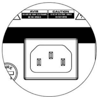 JL Audio Fathom IWSv2-SYS-113 - Subwoofer-Ausgänge - 1