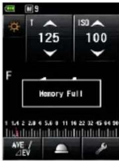 T 125 ISO 100 F Memory Full AVE / ΔEV