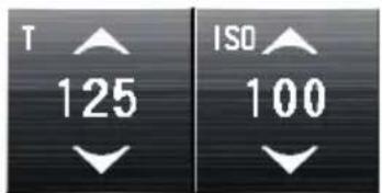 T 125 ISO 100