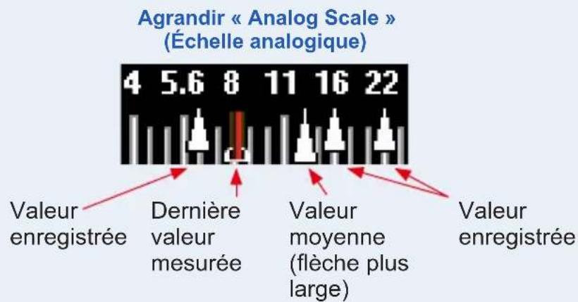 Agrandir « Analog Scale » (Échelle analogique) 4 5.6 8 11 16 22 Valeur enregistrée Dernière valeur mesurée Valeur moyenne (flèche plus large) Valeur enregistrée
