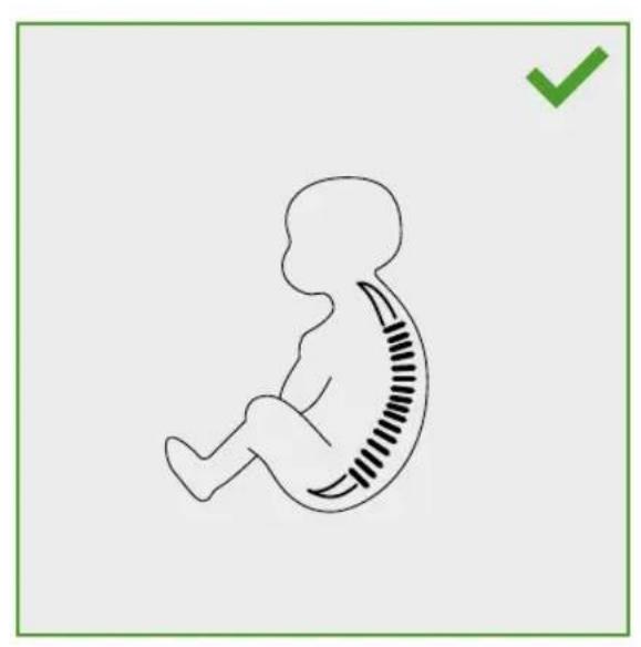 CYBEX MAIRA.tie - INDEX - 12