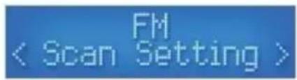 VELLEMAN HQWS10001 - FM Menu Options - 1