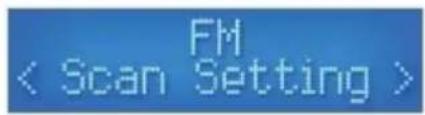 VELLEMAN HQWS10001 - Options du menu FM - 1