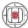 Fimi Mini 3 - ■3. Funcionamiento básico de vuelo - 2