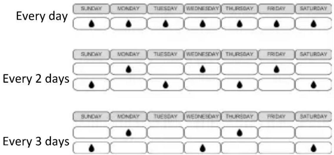 Brandson 306617 - Determine watering cycle - 3