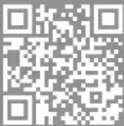 Brandson 306616 - FR - 1