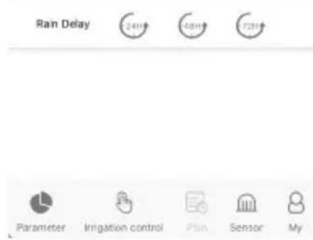 Brandson 306614 - Retraso manual por Iluvia - 1