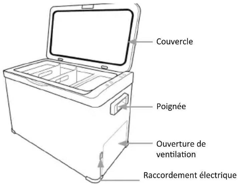 Brandson 305663 - Particularités du produit - 1