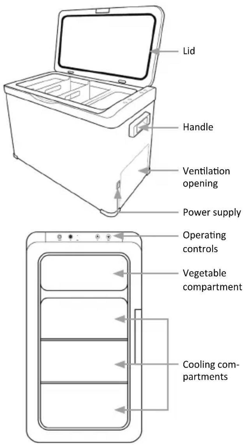 Brandson 305663 - Product details - 1