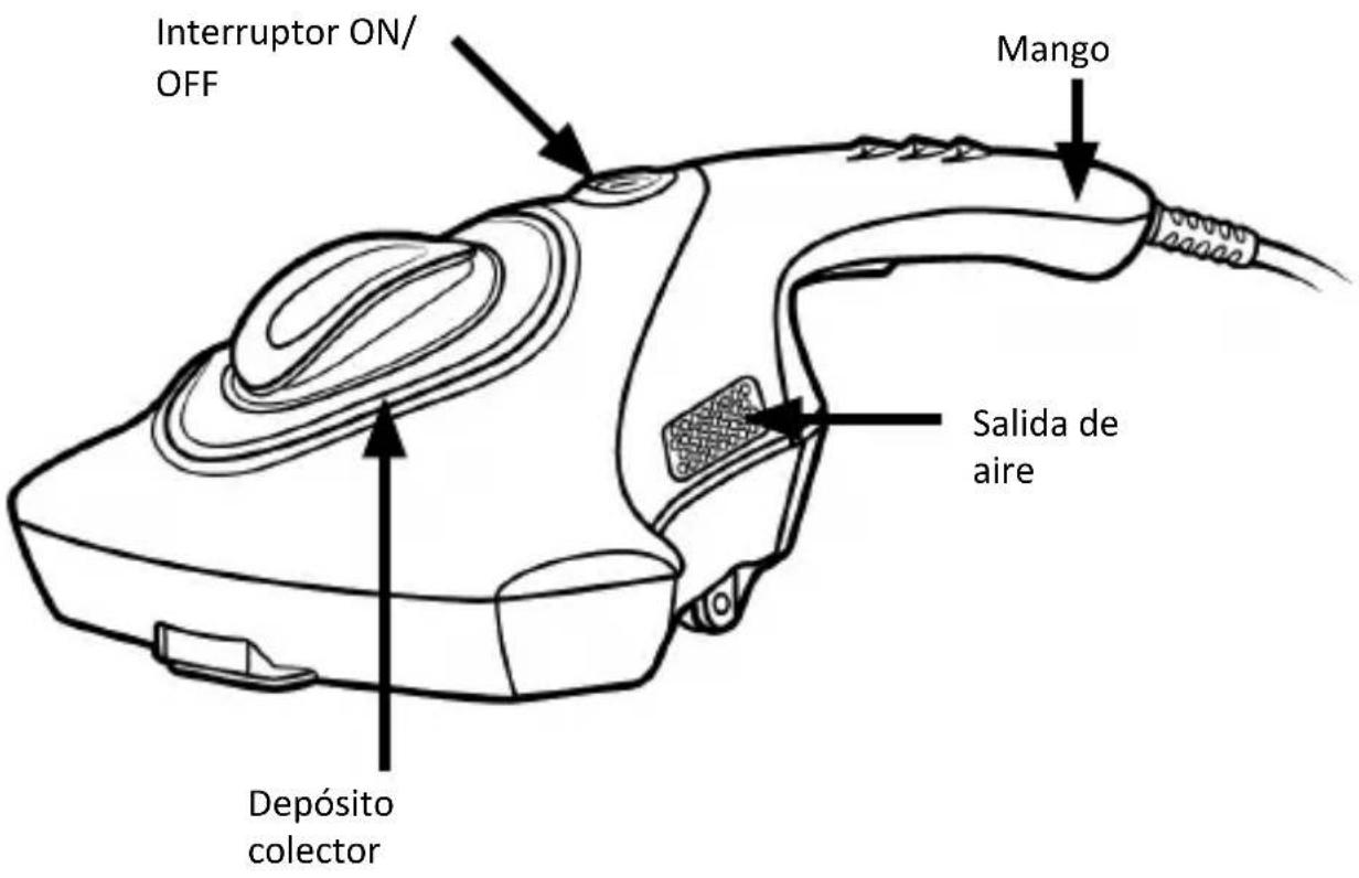 Brandson 305895 - Detalles del producto - 1