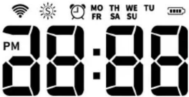 Brandson 306643 - Display - 1